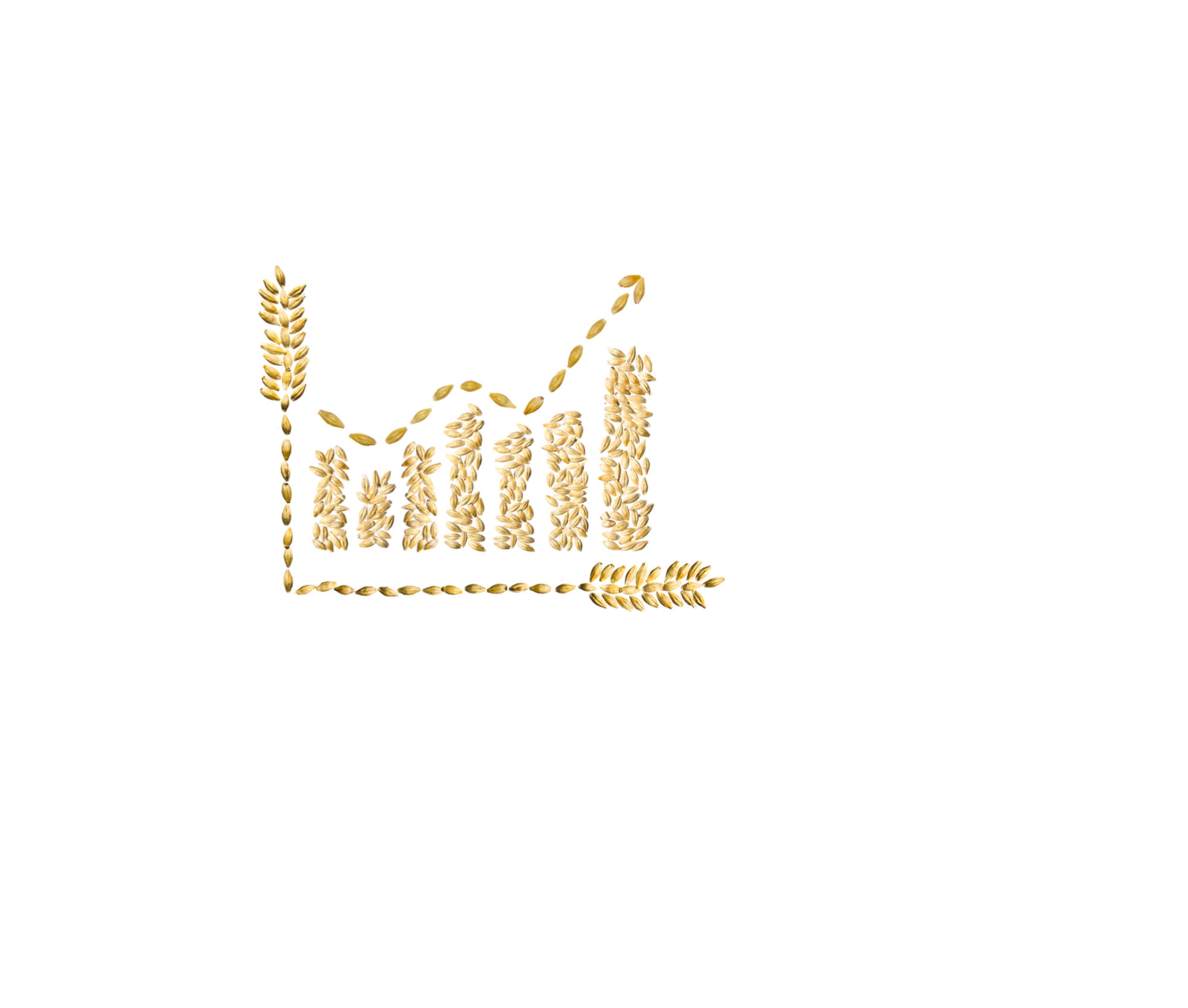 Croissance Food